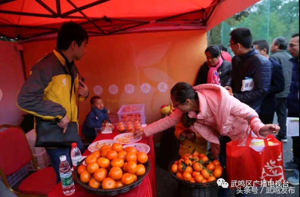 武鸣沃柑开园上市,武鸣沃柑2024发布现场