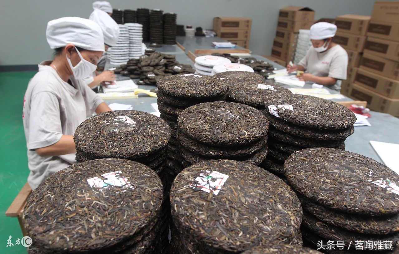 普洱生茶脱皮是什么原因,普洱茶可以诱发哪些病