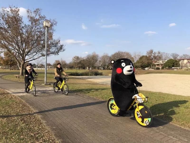 蛙儿子的旅行,蛙儿子旅行攻略