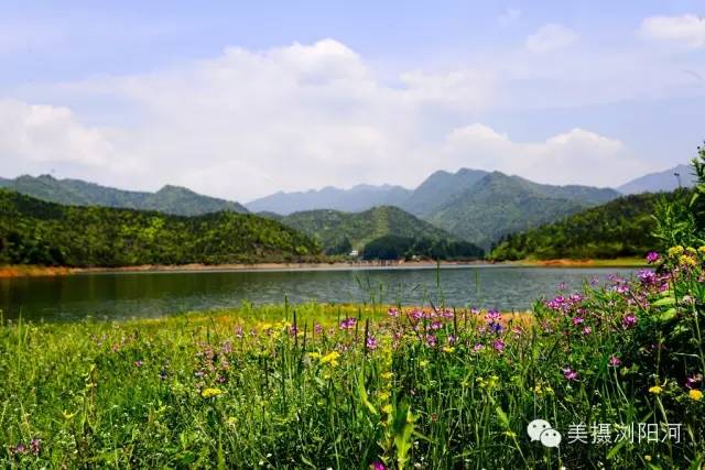 浏阳旅游景区推荐,浏阳市森林生态观光园