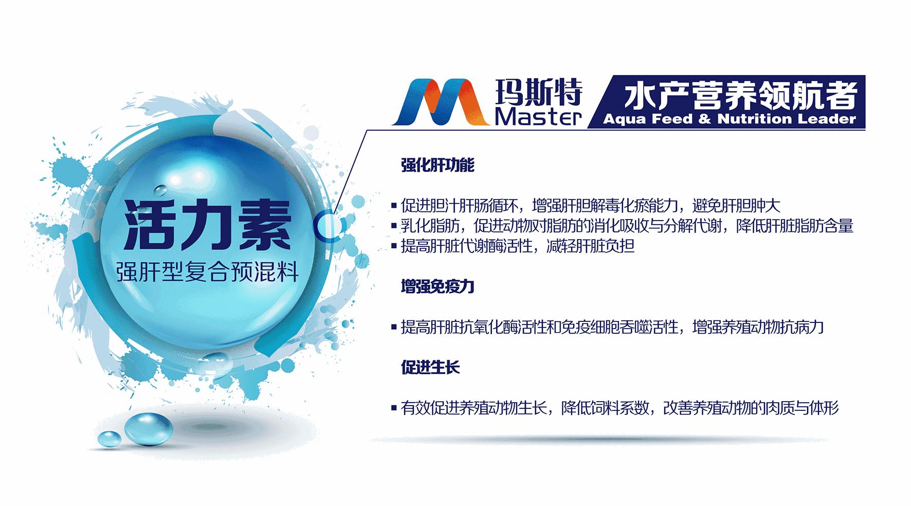 最好的虾苗品牌,新品虾苗