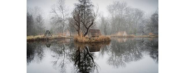 被害妄想症属于什么类型,有关被害妄想症的书