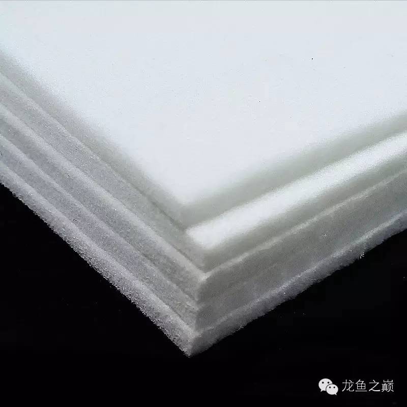 太给力了！8大招完美攻陷金龙鱼！