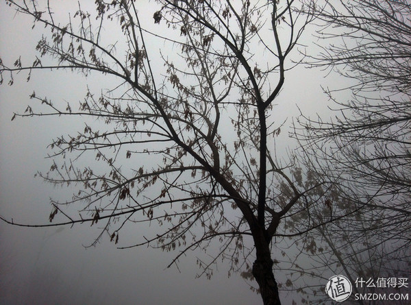 htconea9s怎么样,htconea9和a9w