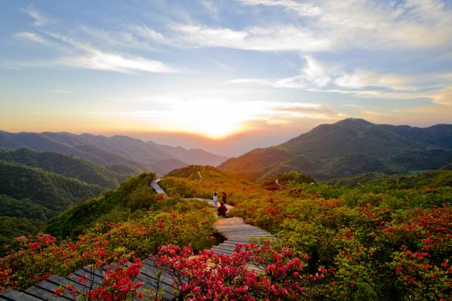 浏阳春季旅游攻略大全,浏阳旅游攻略景点必去三天
