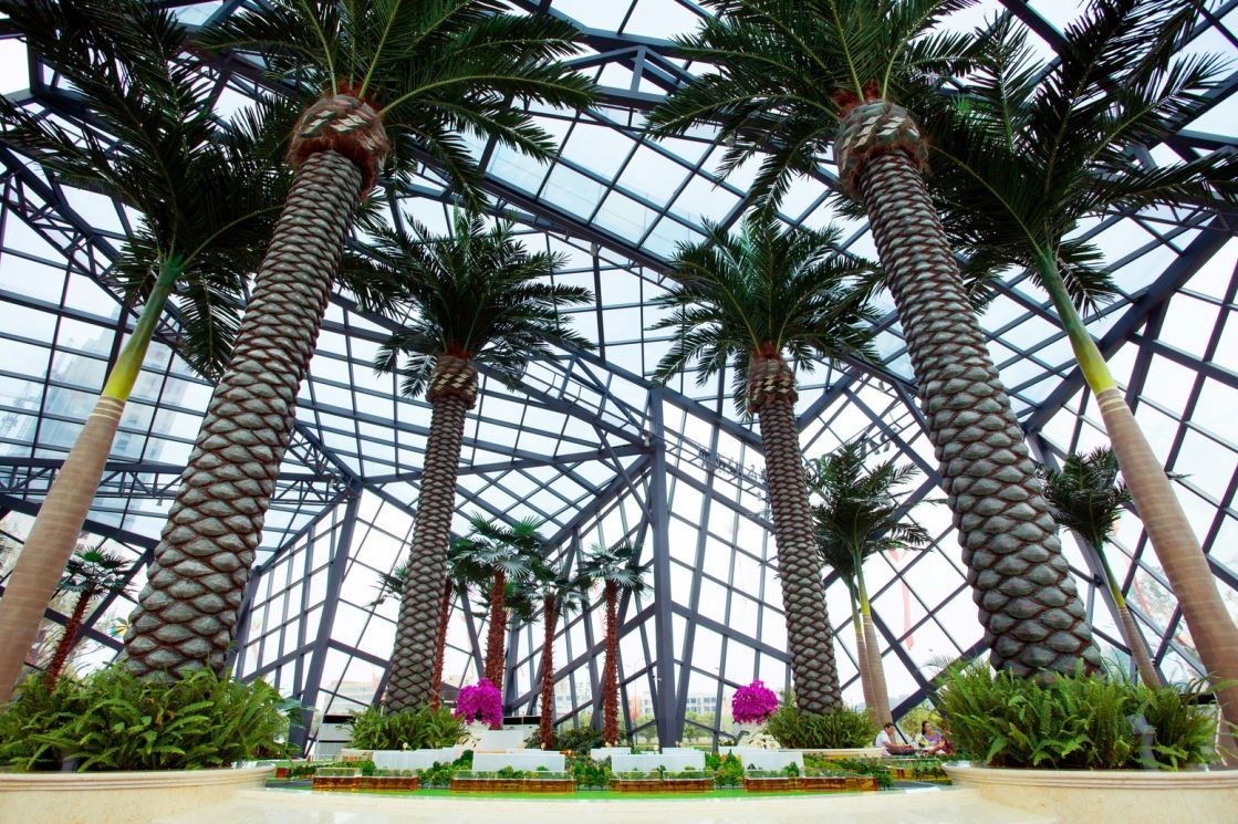 有个处女座工科男，想把《LonlyPlanet》搬到家门口，杭州人用5年才理解了他