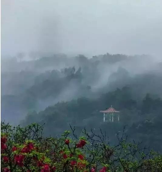 从a到z的26个拼音,从a到z的26个字母自然拼读