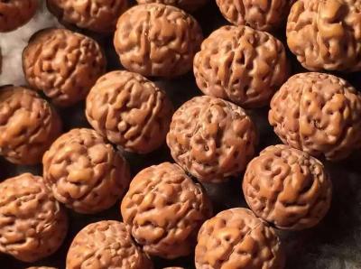 六瓣金刚菩提与七瓣金刚菩提,金刚菩提六瓣20mm的多少钱