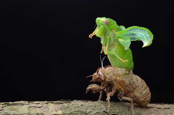 每个人的心理预期是不一样的,每个人都要有一个心理预期