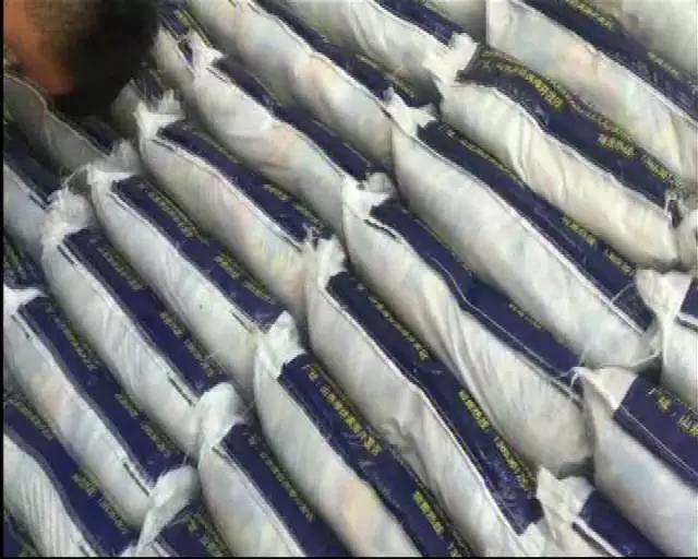 往水里扔一把“白色粉末”，一动不动的花蛤立马“回光返照”！这