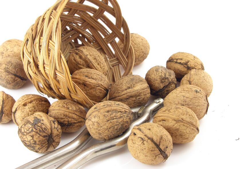 核桃全身都是宝顺口溜,核桃浑身是宝