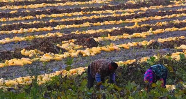 白内障可防可控吗,白内障如何预防和治疗