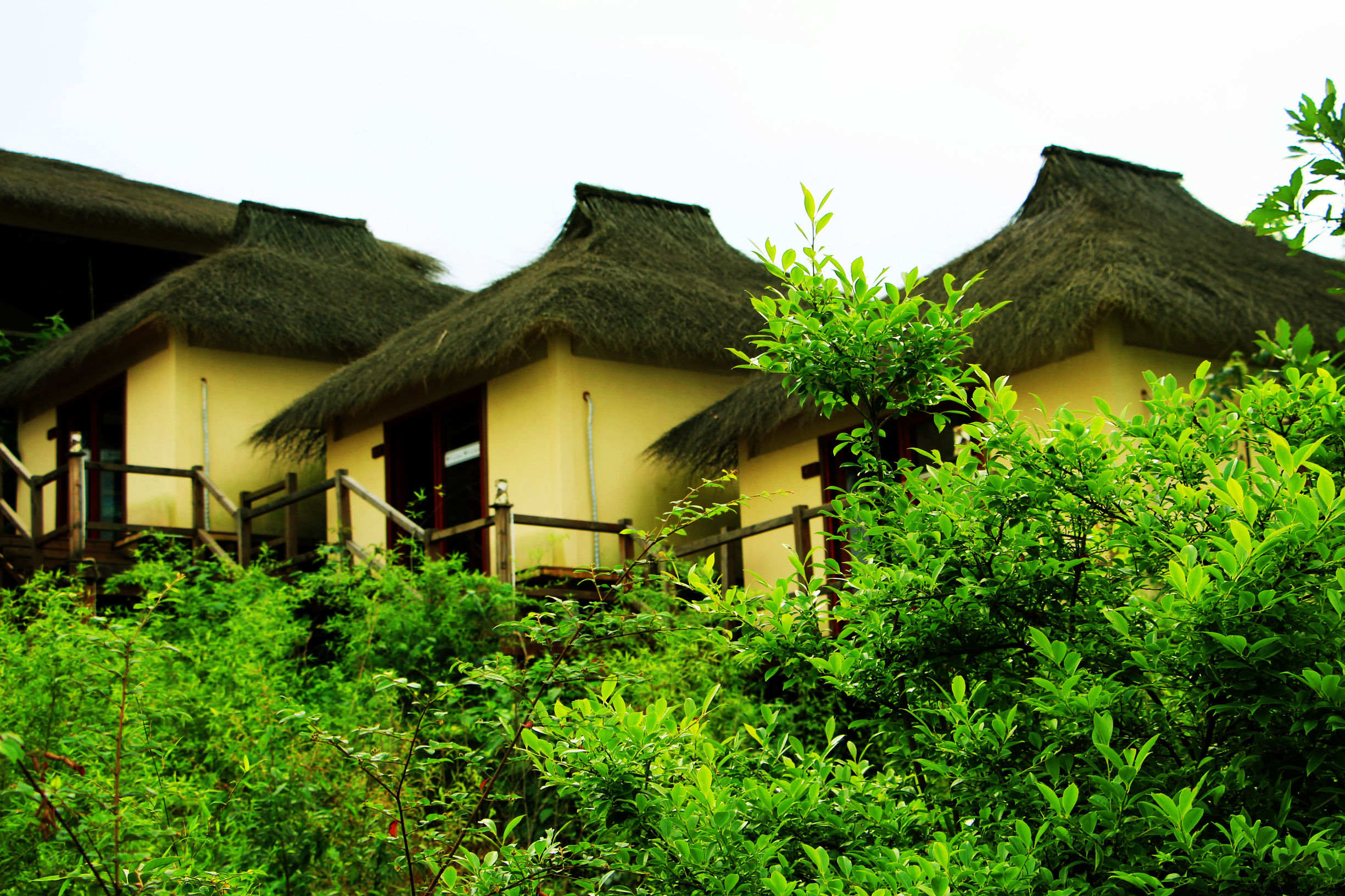 人间仙境东江湖,东江湖真的绝美