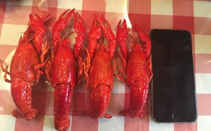 西安好吃的虾推荐,虾季来了芙蓉店