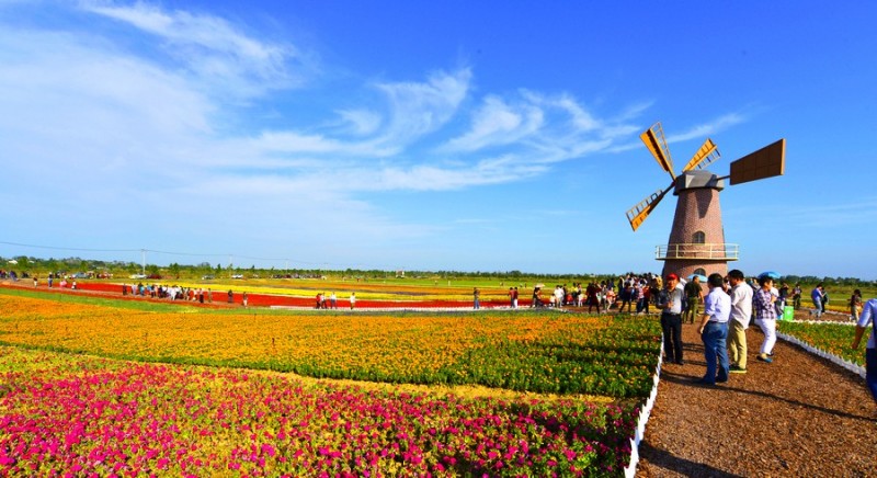 合肥逛吃的地方推荐,合肥逛吃攻略来了