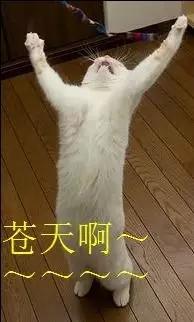 专家谈为什么房价不能暴跌,为什么说房价跌股价涨