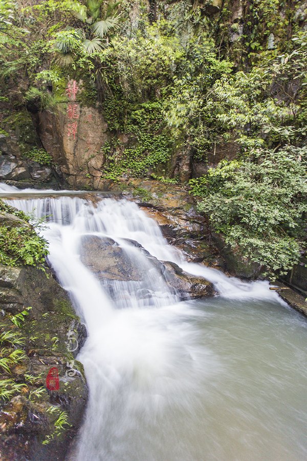 养在深闺里无人知,养在深闺无人识全文
