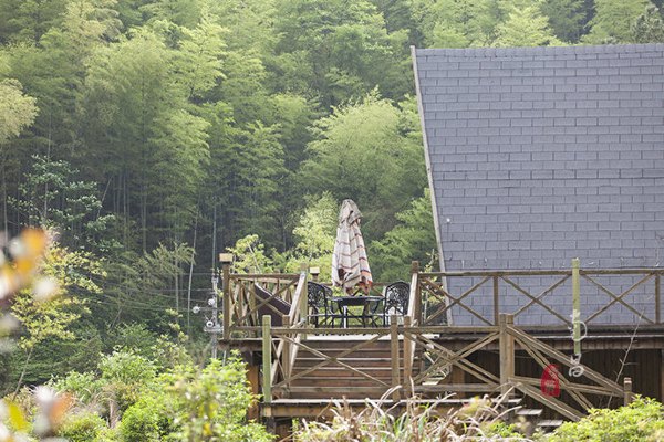 养在深闺里无人知,养在深闺无人识全文