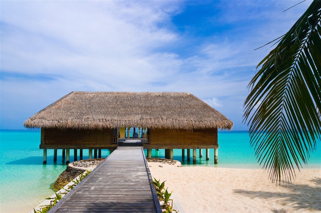 细思极恐推理故事及答案,细思极恐的推理凶手的故事含答案