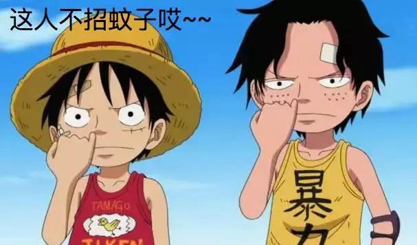 驱蚊的方法及食物,吃什么能有效防蚊