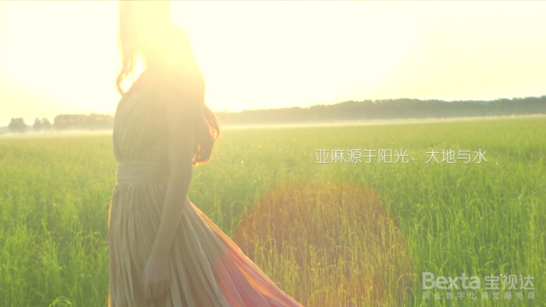 金达提花,金达莱花线稿