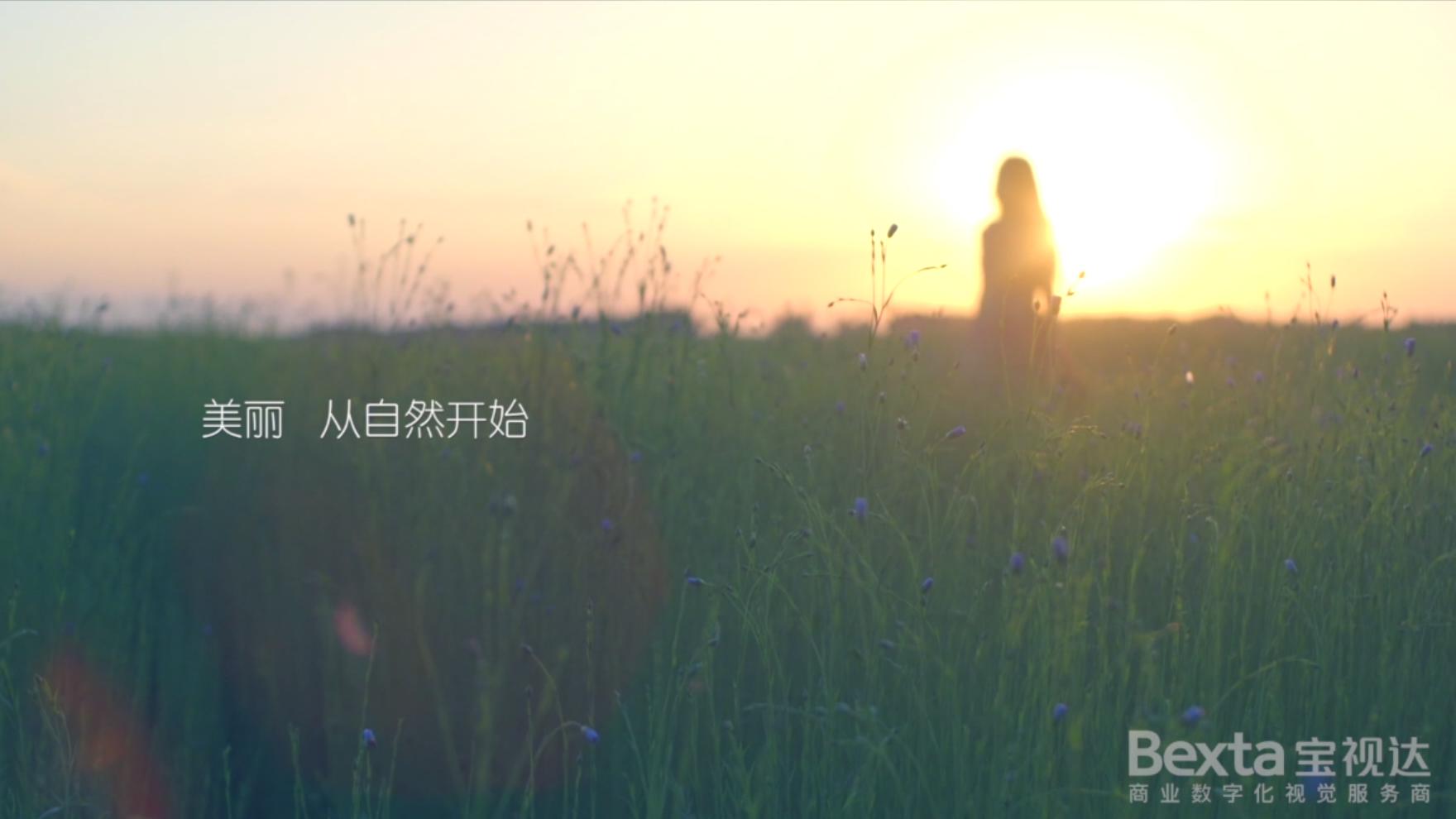 金达提花,金达莱花线稿