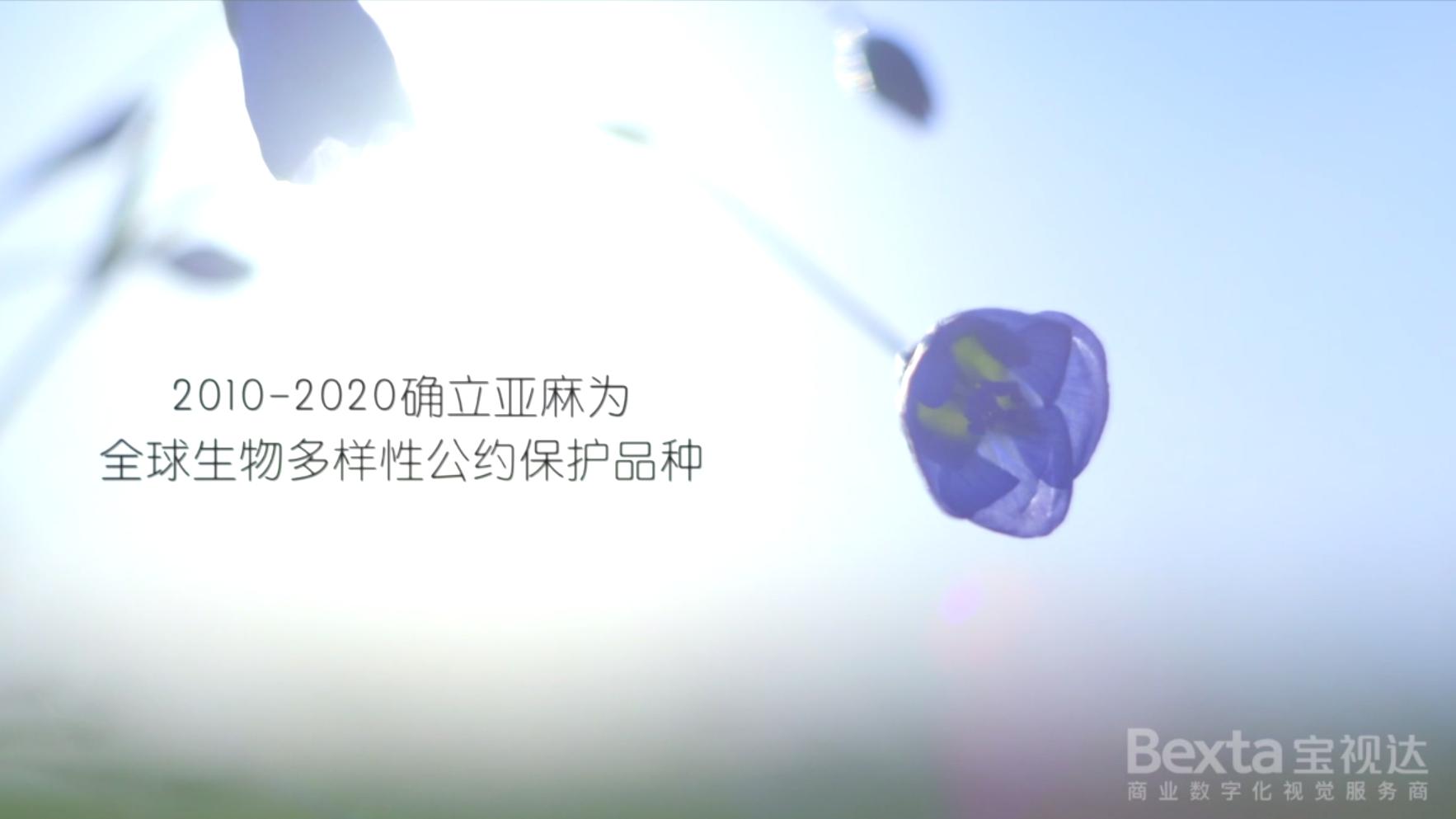 金达提花,金达莱花线稿