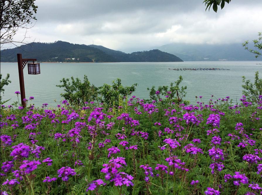 人间仙境东江湖,东江湖真的绝美