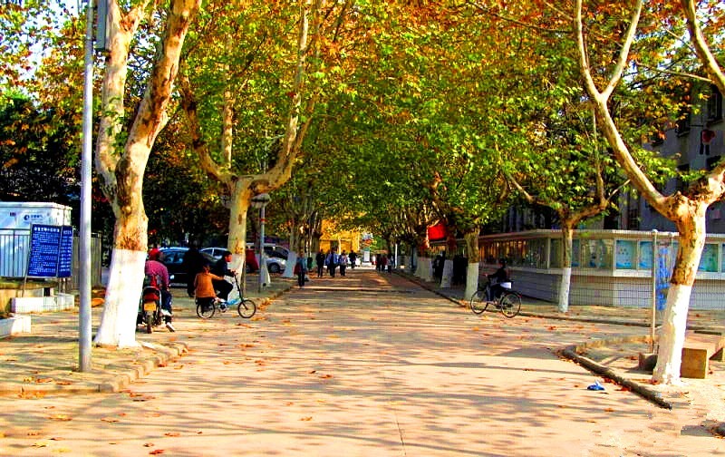 合肥逛吃的地方推荐,合肥逛吃攻略来了