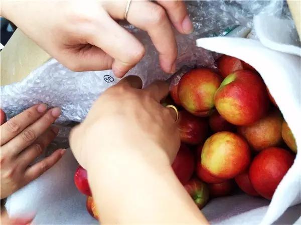 带着小猴子上山摘油桃，又一波福利先到先得