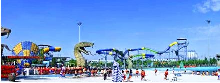 统一冰红茶拉罐整箱,统一冰红茶推广视频