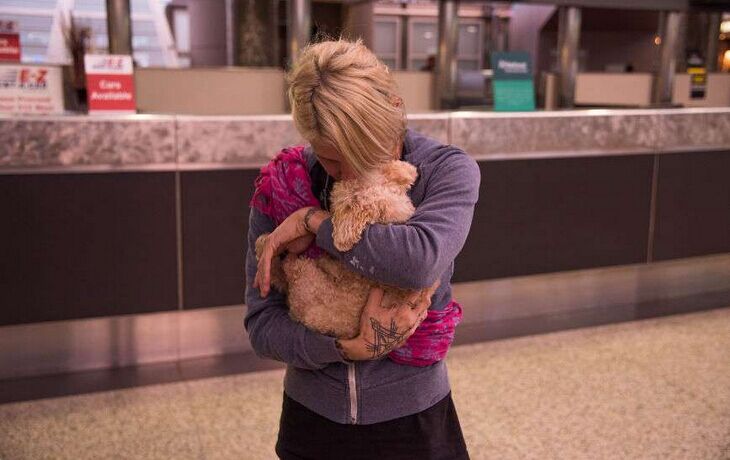 让死神等10年的流浪狗一直坚信有人会救它，最后上天给了它答案