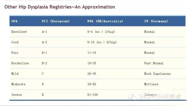 狗髋关节磨损的治疗方法,狗的髋关节你了解多少