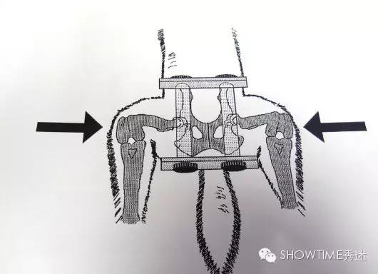 狗髋关节磨损的治疗方法,狗的髋关节你了解多少