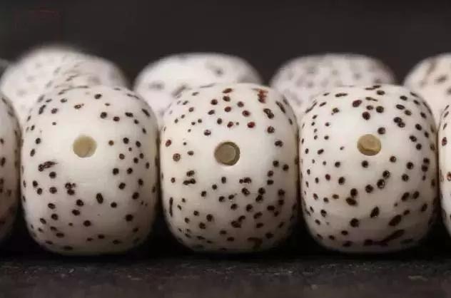 菩提哪一种好,菩提分几种哪种最好