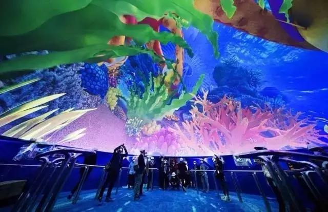 用我巨萌的强力剂，治愈你的宝宝萌化症