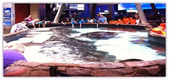 用我巨萌的强力剂，治愈你的宝宝萌化症