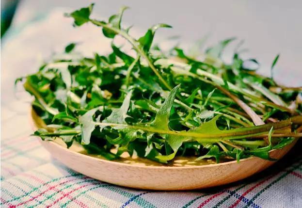 田间小路的野菜,乡间小草竟是中医良药