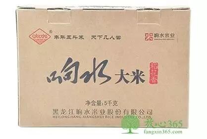 「世界防治肥胖日」即将来临，健康的警钟再次被敲响