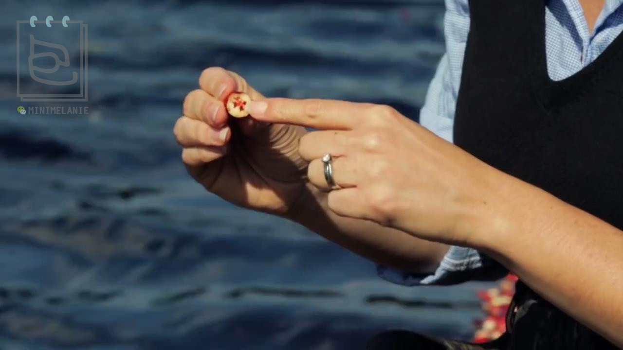 北美红宝石蔓越莓,北美红宝石蔓越莓干