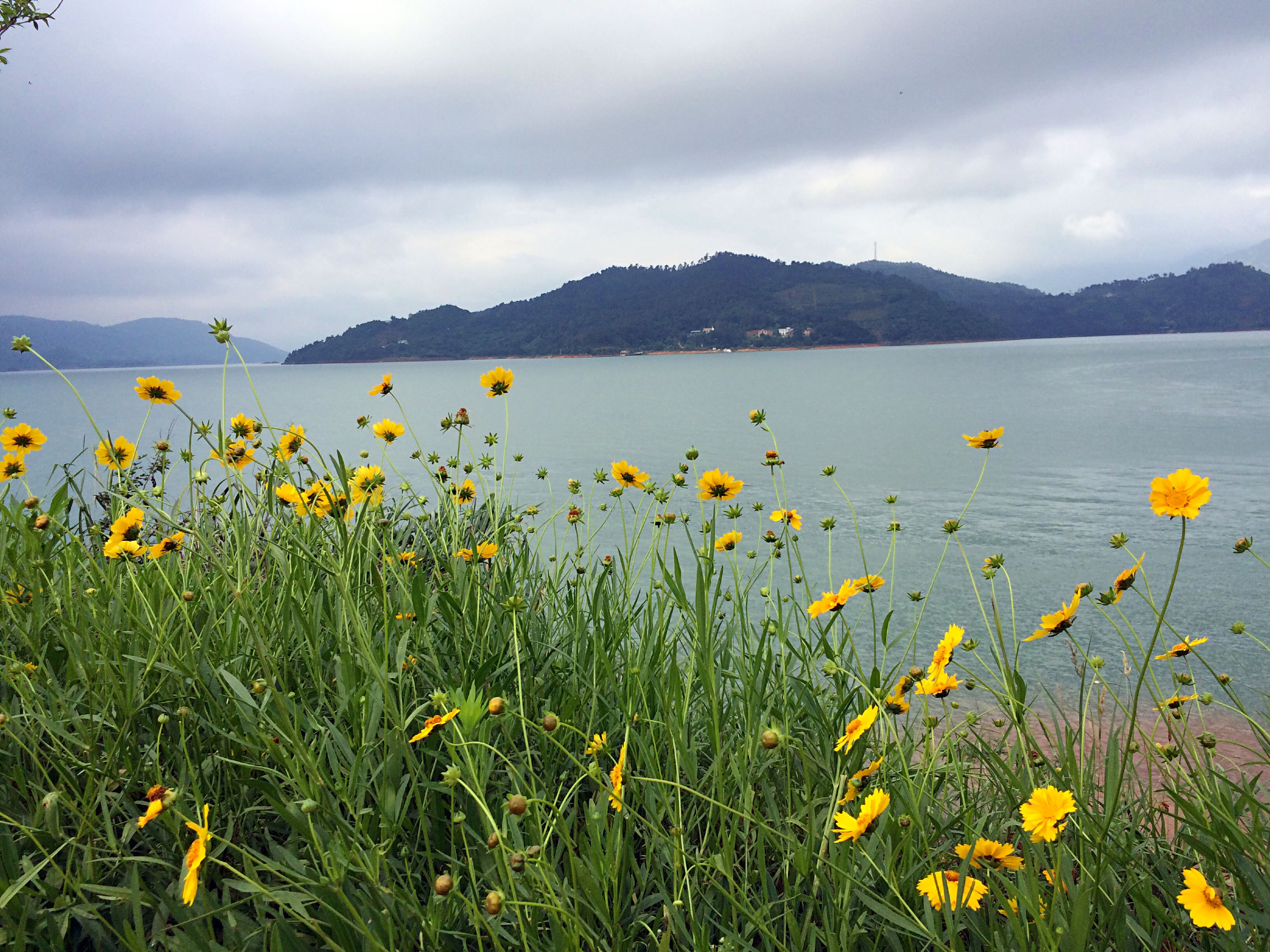 人间仙境东江湖,东江湖真的绝美