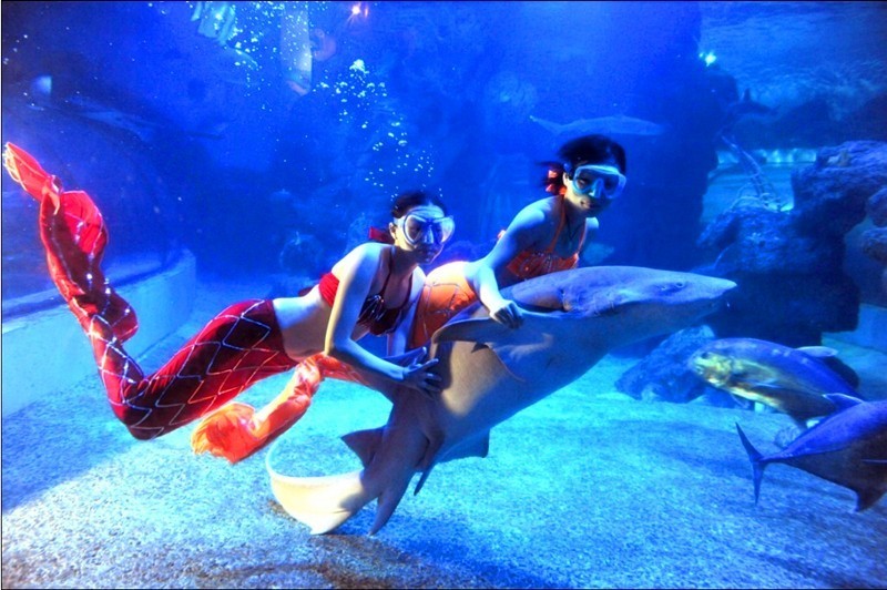 合肥逛吃的地方推荐,合肥逛吃攻略来了