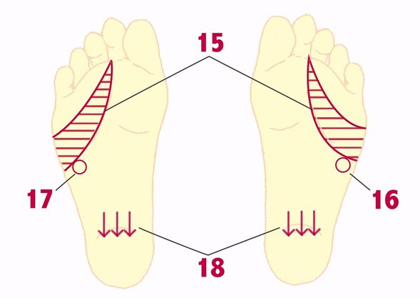 足部按摩的好处与功效,足部穴位按摩教程视频