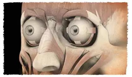 跟我练-动作再生：眼部太阳浴