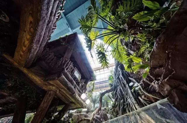 用我巨萌的强力剂，治愈你的宝宝萌化症