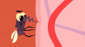 驱蚊的方法及食物,吃什么能有效防蚊