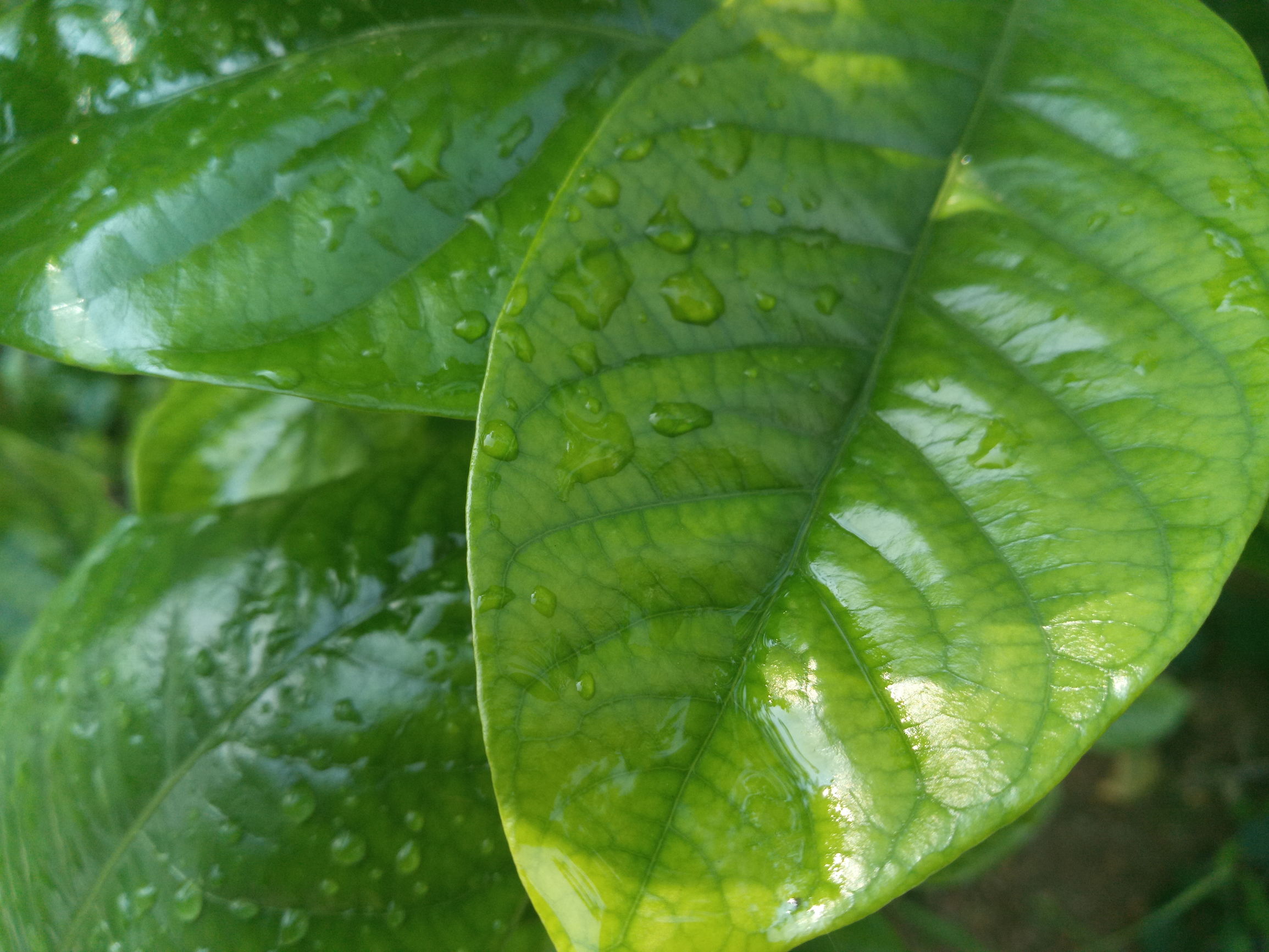 新360n4手机,360n4手机测试