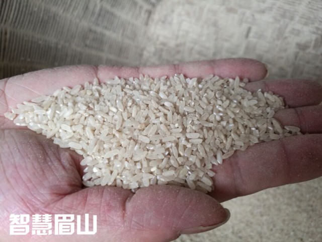 眉山百年古水碾“强悍”依旧，碾出米来“香得很”！