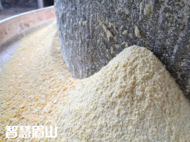 眉山百年古水碾“强悍”依旧，碾出米来“香得很”！