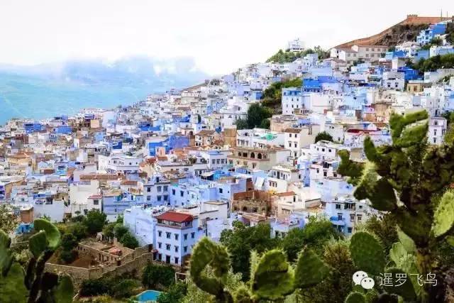 LP年度最佳三毛最爱北非后花园摩洛哥免签啦！